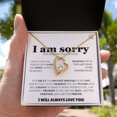 I am sorry - Forever Love Necklace - Apology Gift Set - SLDDL0128 - Sunshine Letters Co
